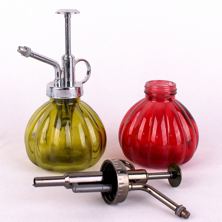 Glass Water Spray Bottle Small Watering Can with Sprinkler